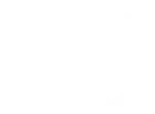 The tentree logo.